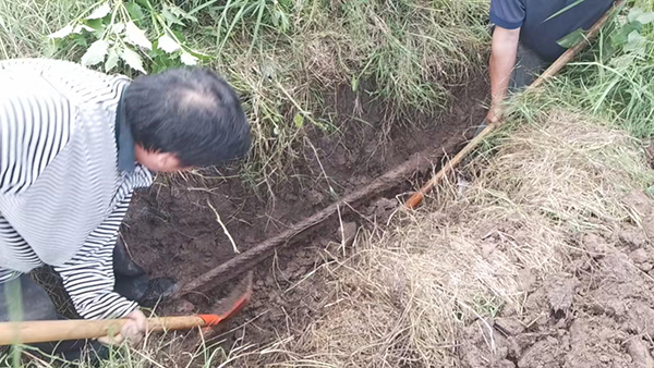 忠縣分公司石寶、紅星客運碼頭對消落期港區(qū)系泊設(shè)施設(shè)備進行維護保養(yǎng)3.jpg